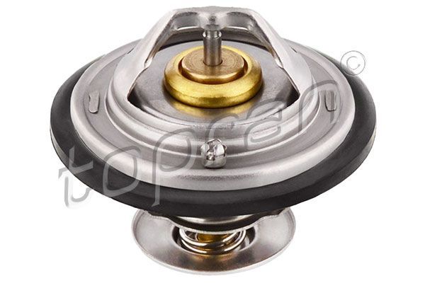 Termostat 87C Audı A100 A4 A6 A8 Passat 101601