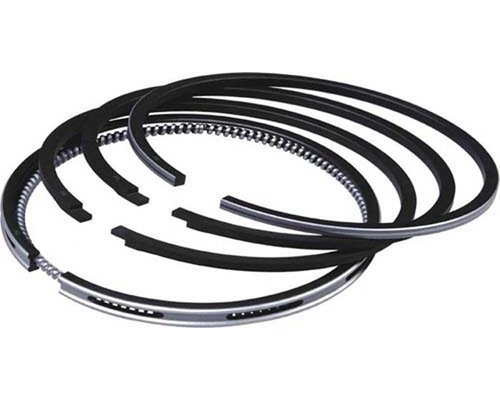Segman Lt 96-06 Federal 062198151A