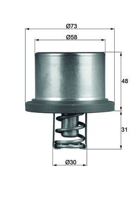 Termostat Cayenne 07-10 Behr-T 94810612501