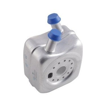Yag Sogutucusu Caddy T5 Polo A3 Leon 01- Bsg 028117021L