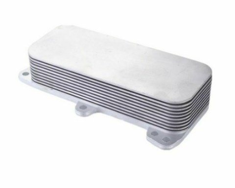 Yag Sogutucusu T5 Touareg 04-10 Bsg 070117021D