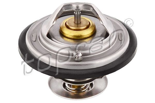 Termostat 87C Audı A100 A4 A6 A8 Passat 101601
