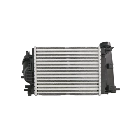Turbo Radyatörü Intercooler Renault Megane 4 - Scenic 4 - Talisman 1.6 dCi 2015-2022 144963358R