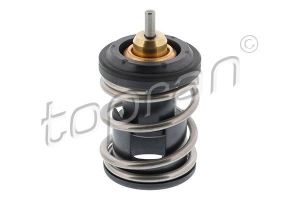 Termostat Vw Golf7 Caddy 4 1.4 Tsı 12> 116999