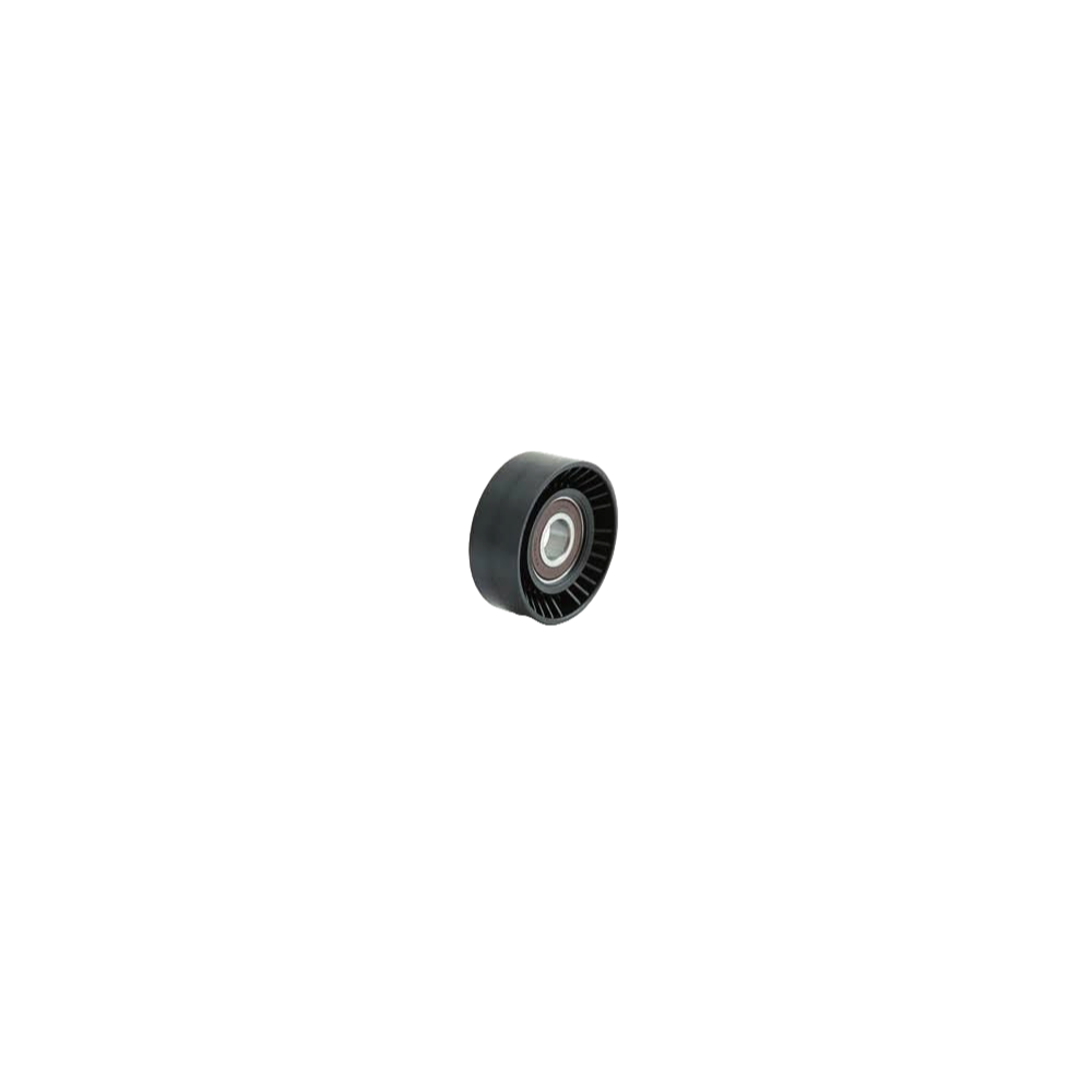 Alternatör Gergi Rulmanı Opel Corsa C - Corsa B 1.0 1.2 1340556