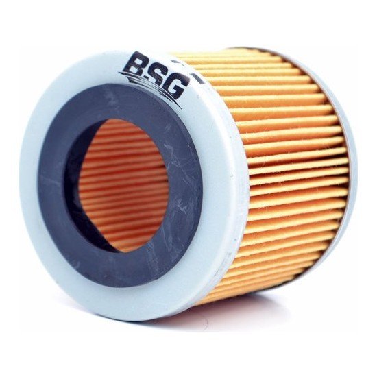 Yag Fıltresı Polo Cordoba Fabıa 01- Bsg 03D198819