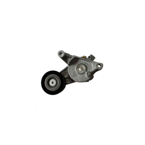 V Kayış Gergisi Komple VW Golf 5 - Caddy - Passat - T5 - A3 - A4 1.9 TDI - 2.0 TDI 03G903315A