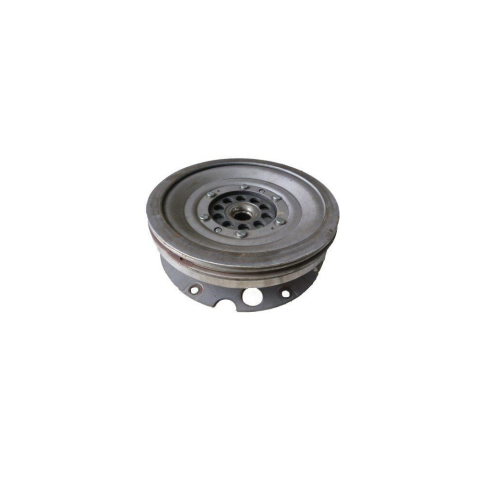 Luk Volan VW A4 - A5 - A6 - A7 - Q5 3.0 TDI CDUC - CKVC - CDUD 2010-2010 0B5105317P