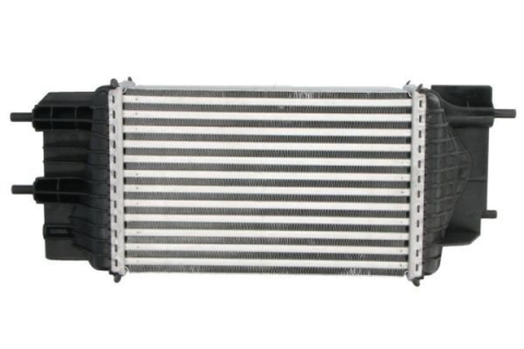 Turbo Radyatoru (Intercooler) 281X187x80 Nıssan Juke 1 14461