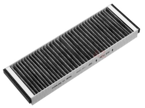 Polen Fıltresı A6 05-11 Bsg 4F0819439A