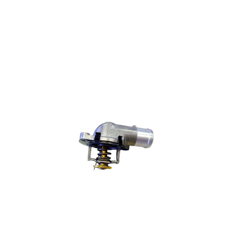Termostat Volkswagen T5 2.5 TDi AXD 2004-2010 070121114