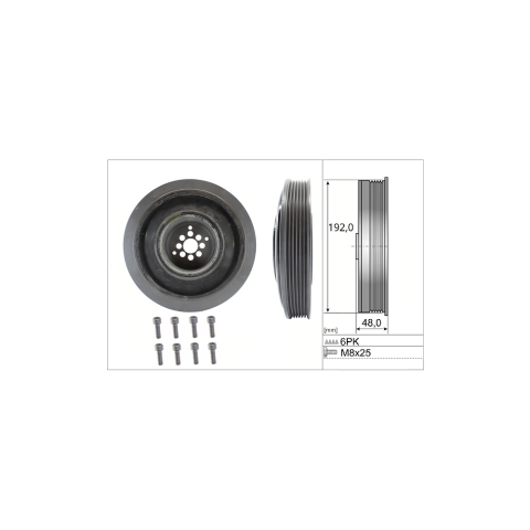 Ina Krank Kasnağı VW Touareg - Q7 - A6 3.0 TDI BUN-BUG 2004-2010 059105251AD