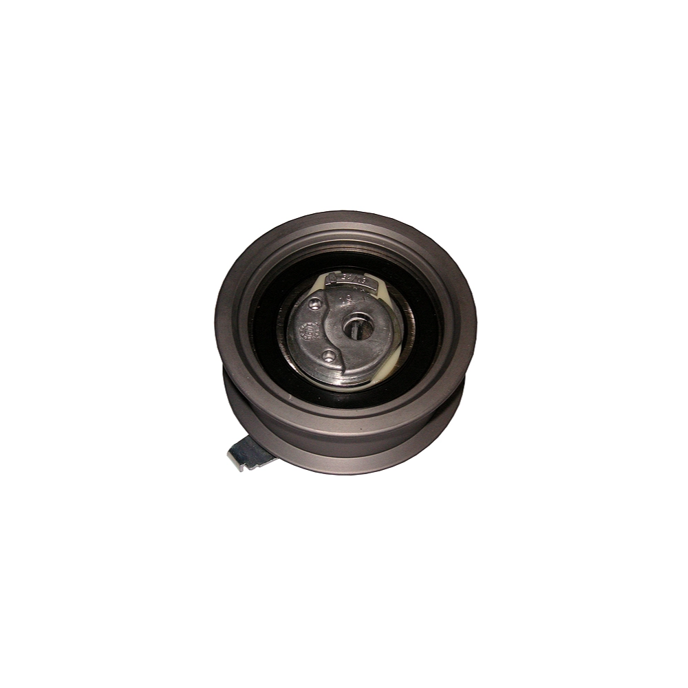 Ina Eksantrik Gergi Rulmanı VW Golf 4 - Bora - Audi A3 - Toledo - Octavia 1.9 TDI 1997-2004 038109243N
