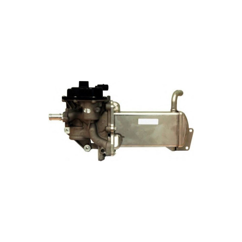 Valeo EGR Valfi VW Amarok 2.0 TDI CDBA-CNFA-CNFB-CDCA-CFFB-CBAB 2010-2010 03L131512AQ