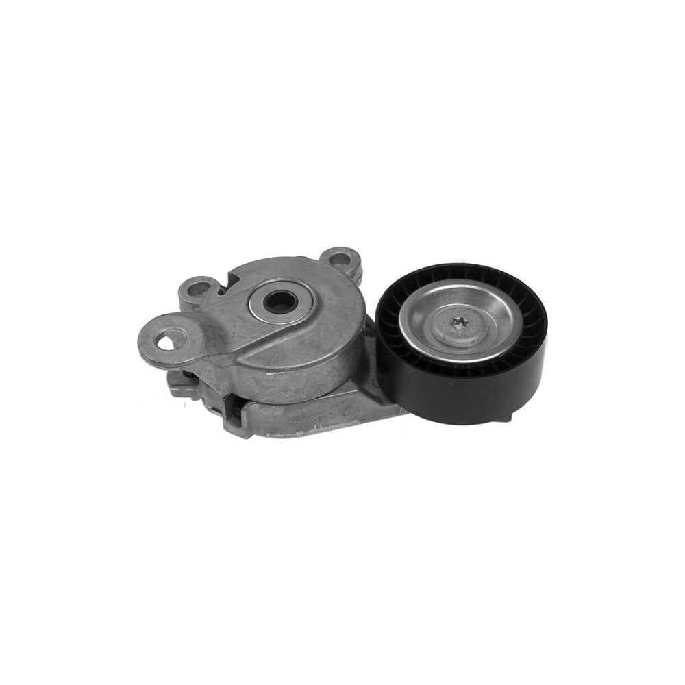 Ina V Kayış Gergisi Komple VW Golf 5 - Jetta - Passat - Tiguan - Audi A3 1.4 TSI - 1.6 FSI 2004-2010 6Q0145299