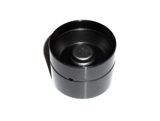 Eksantrık Mılı T5 04-10 Ina 070109101Q