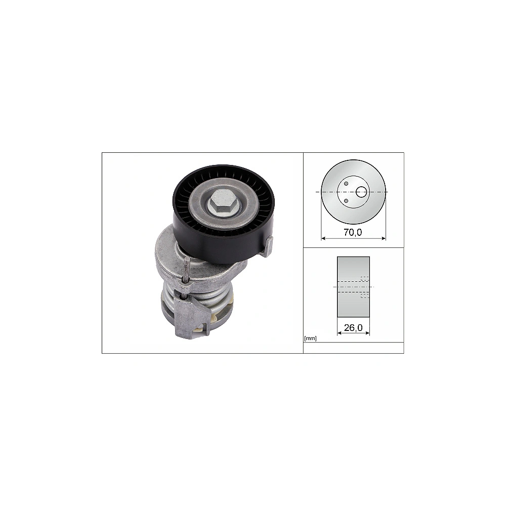 Ina V Kayış Gergisi Komple VW Polo - Golf 4 - Bora - Cordoba - Fabia AEE-ALM-AFH-AHW-BBY-BKY-BBZ-BCB 1.4-1.6 16V 1994- 030145299F
