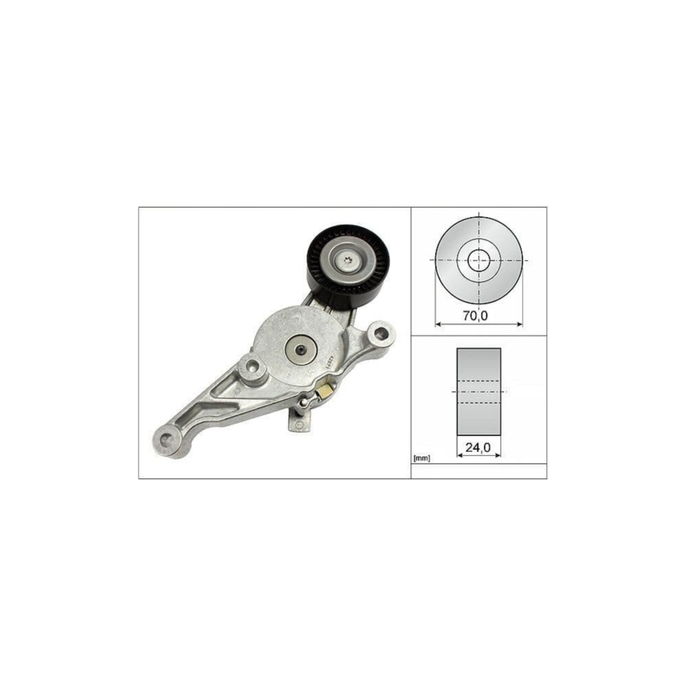 Ina V Kayış Gergisi Komple VW Golf 5 - Caddy - Passat - T5 - Audi A3 - A4 1.9 TDI AXB-BJB-BKC-BLS-BXE 03G903315C