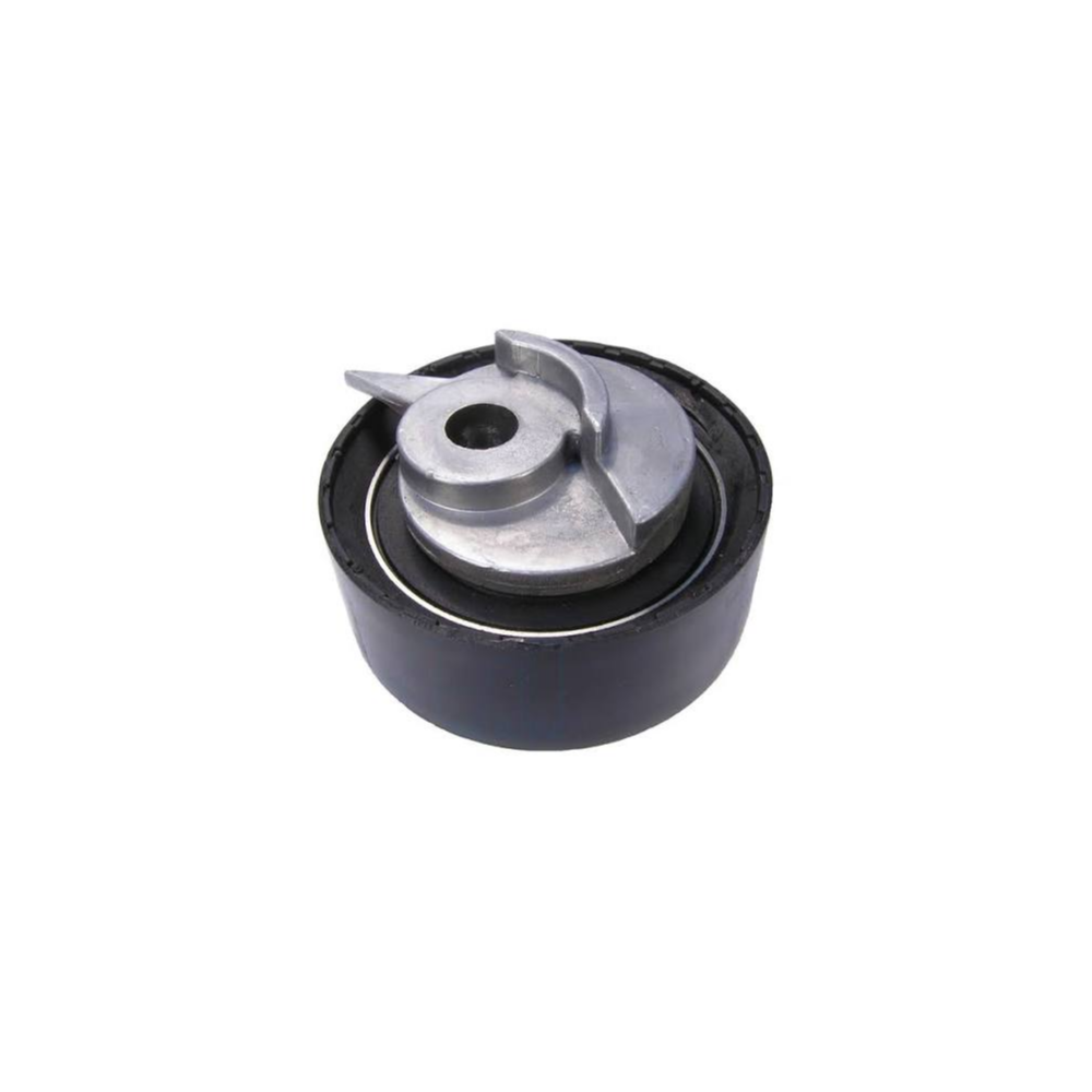 Skf Pompa Gergisi VW T4 - LT ACV-ANJ-AVR-AHD 2.5 TDI 1991-1991 074130245