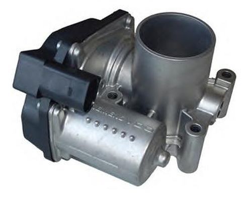 Polo Cordoba Fabıa Gaz Kelebegı 01- [Vdo] [03C133062B]
