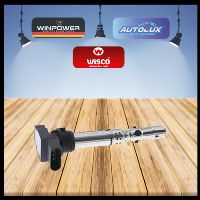 Atesleme Bobını Vw Touareg Cayenne 3.0 3.2 V6 03  022905715B