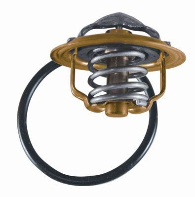 Termostat Golf4 Golf5 Golf6 Jetta Passat Polo Clas 03G121113