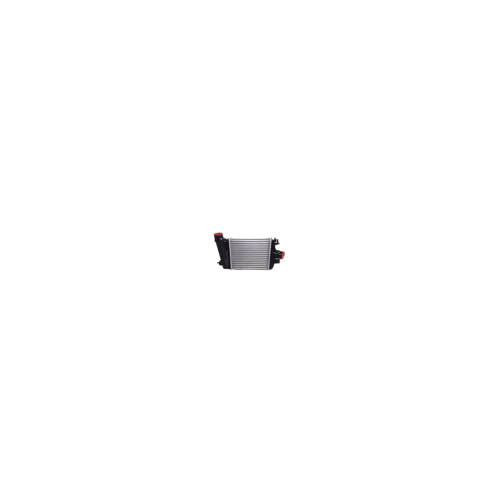 Turbo Radyatörü (Intercooler) Renault Captur 255X217x50 14496