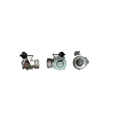 EGR Valf VW New Beetle 1.9 TDI 2001- 038131501N - 1280146