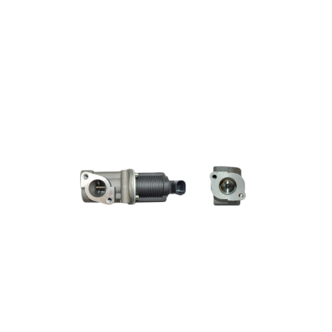 EGR Valfi Opel Astra H - Zafira B - Vectra C Z1.9 DTL 2280058