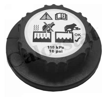 Su Depo Kapağı Opel Sintra 2.2 DTi - 2.2 i - 3.0 i 1996- 10244485