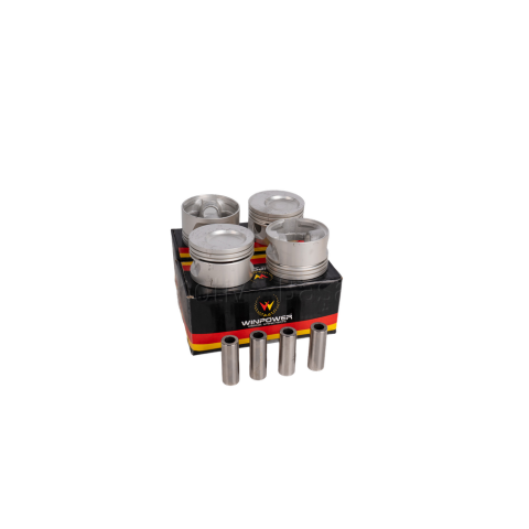 Piston 84,80mm STD Opel Vectra A - Astra F - Omega A 1.8 8V C18NZ 4209000
