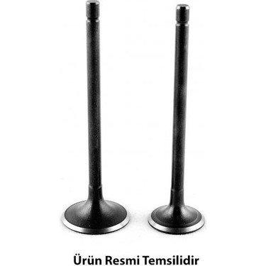 Supap Takımı Polo Caddy Passat Cordoba Fabıa 04-0 038109601E