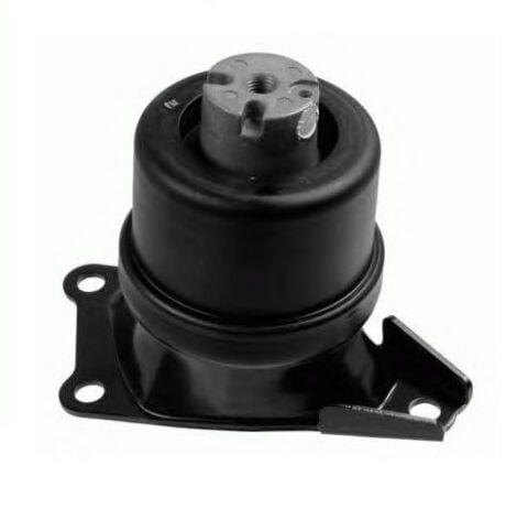Motor Kulağı Sağ - T6