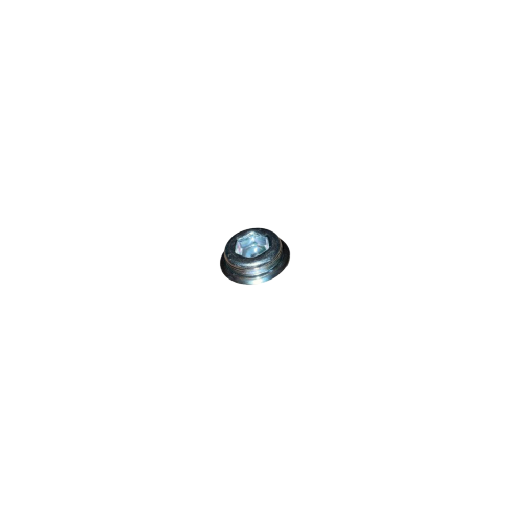 Blok Su Tapası 47MM Mercedes-Benz Sprinter - W123 - W124 - W169 - W176 - W211 - W164 1995- A0069977548