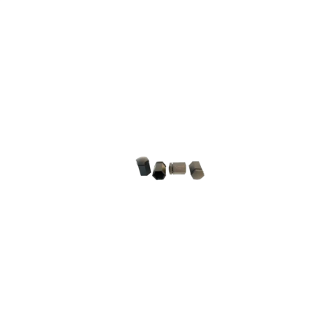 Cabu Bijon Kapağı Siyah 17x32mm Opel Corsa C - Astra G - Zafira 1008208 90342772