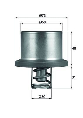 Termostat Cayenne 07-10 Behr-T 94810612501
