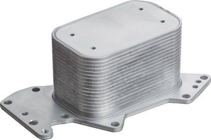 Touareg A4 A5 Yag Sogutucusu 04- [Ioe-Vw] [059117021J]