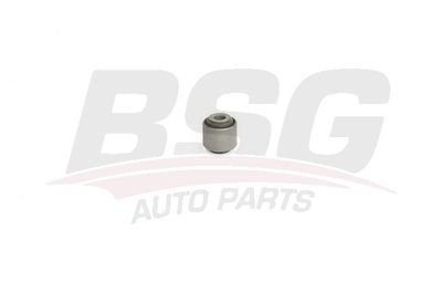 Arka Askı Rotu Burcu Crafter Man Tge 16- Bsg 2N0505465A