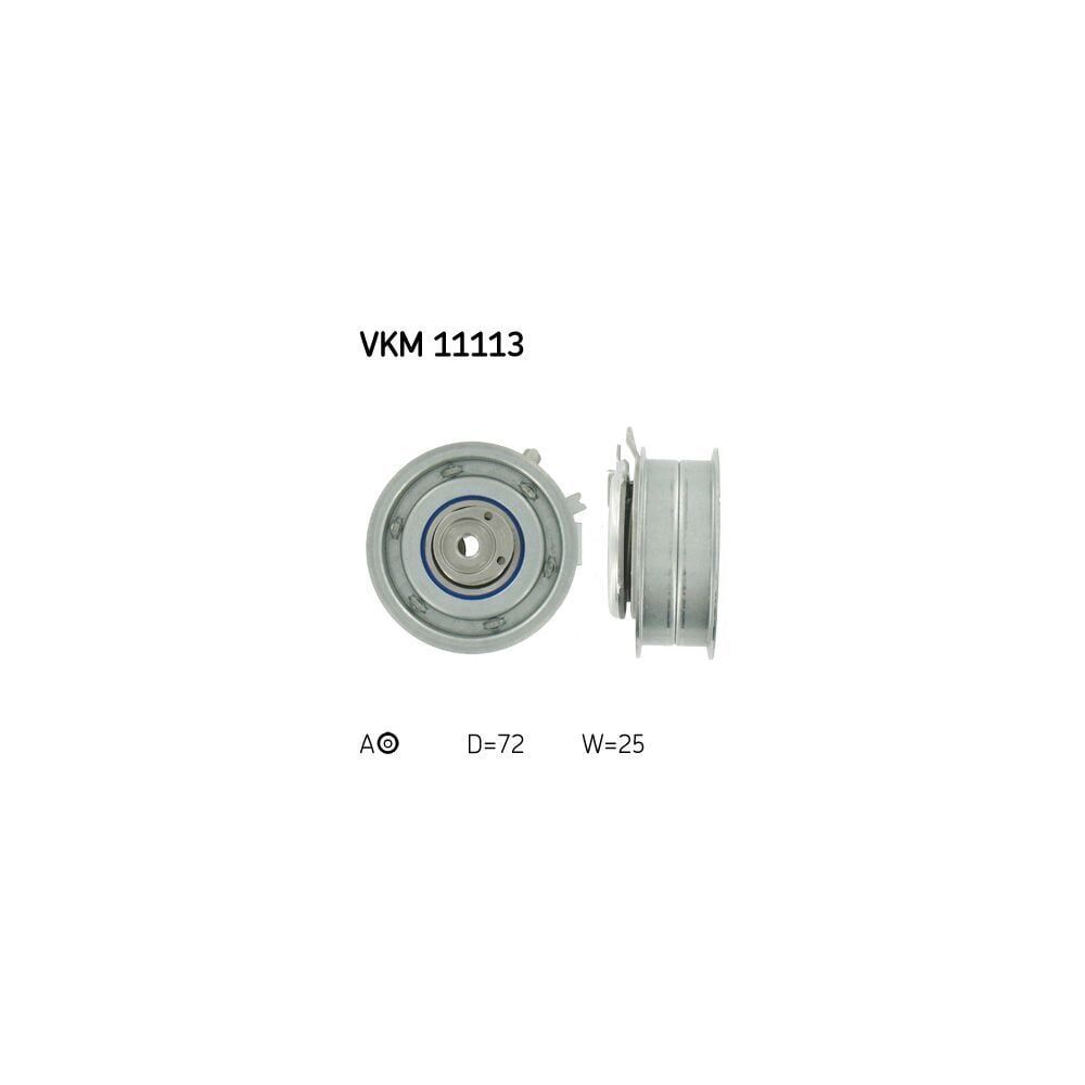 Skf Eksantrik Gergi Rulmanı VW Golf 4 - Golf 5 - Golf 6 - Bora - Jetta - A3 - Toledo - Leon 1.6 1997-2013 06A109479C