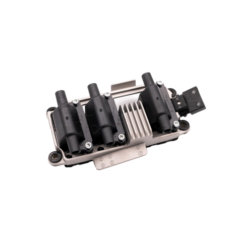 Ateşleme Bobini Audi A4 - A6 Quattro 2.4 - 2.8 2001-2005 078905104