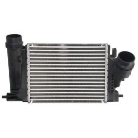 Turbo Radyatoru (Intercooler) 282X224x62 Nıssan X-Traı 14461