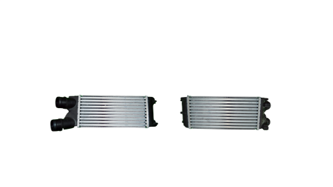 Turbo Radyatoru (Intercooler) 300X142x80 Cıtroen Ber 0384.L9