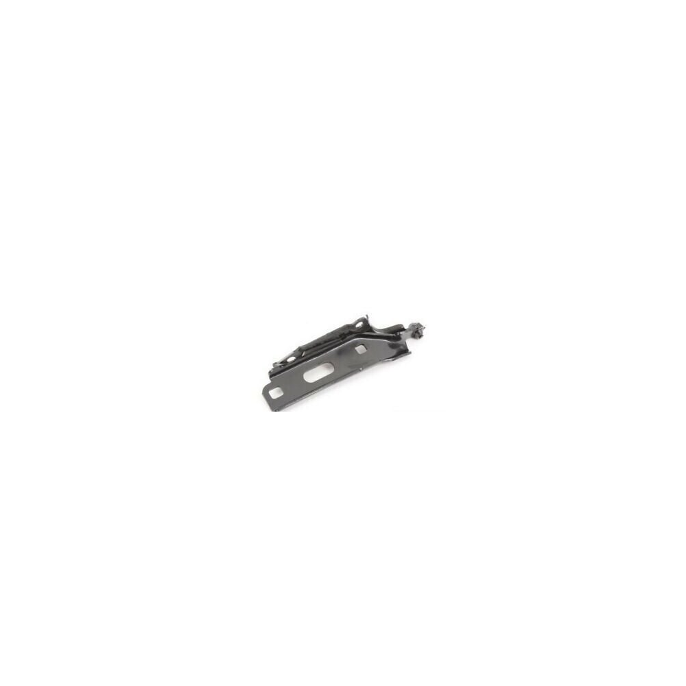 Ioe-vw Kaput Menteşesi Sağ VW A3 2013-2013 8V0823302G