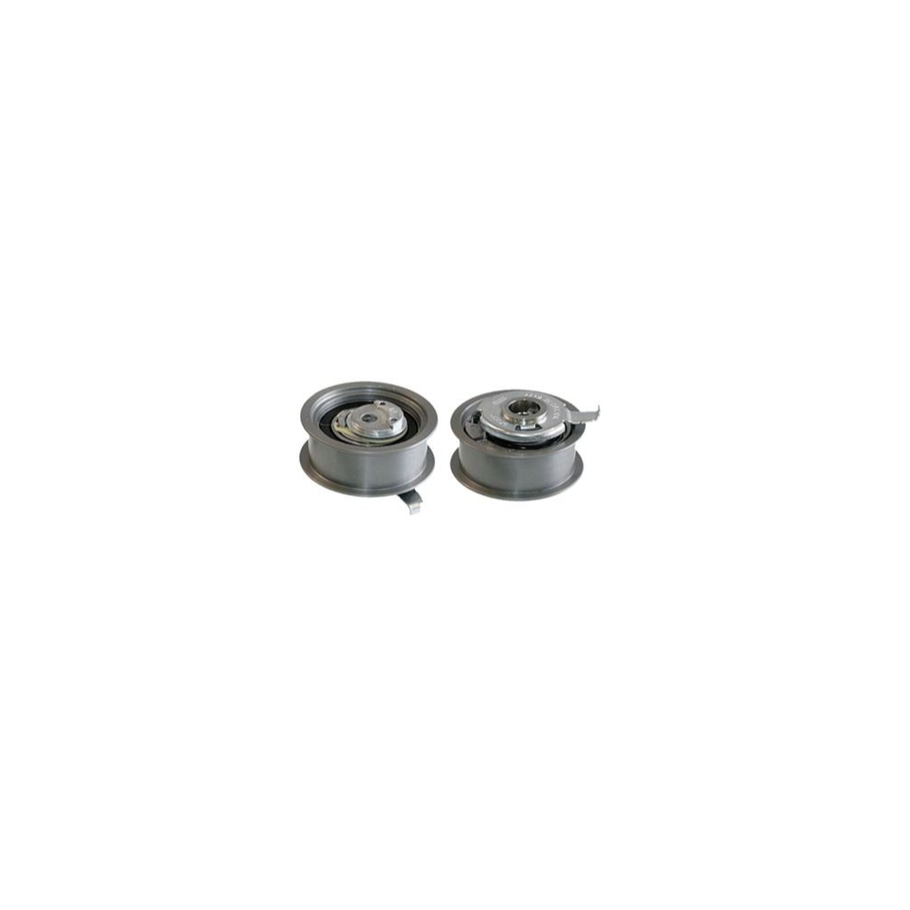 Eksantrik Gergi Rulmanı VW Golf 4 - Bora - Audi A3 - Seat Toledo - Skoda Octavia 1.9 TDI 1997-2004 038109243N