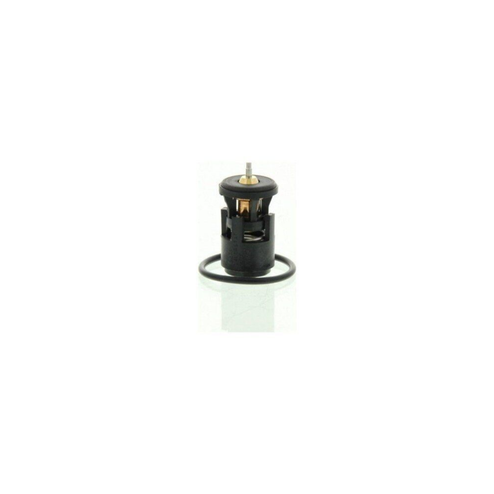 Behr-T Termostat Polo Cordoba Fabia 032121110B