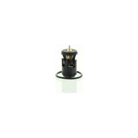 Behr-T Termostat Polo Cordoba Fabia 032121110B