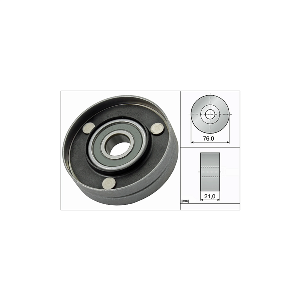 Ina V Kayış Gergi Rulmanı VW Q7 4.2 FSI 079903341F