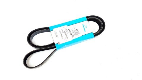 V Kayısı Polo Cordoba Fabıa 01- Dayco 03E260849A