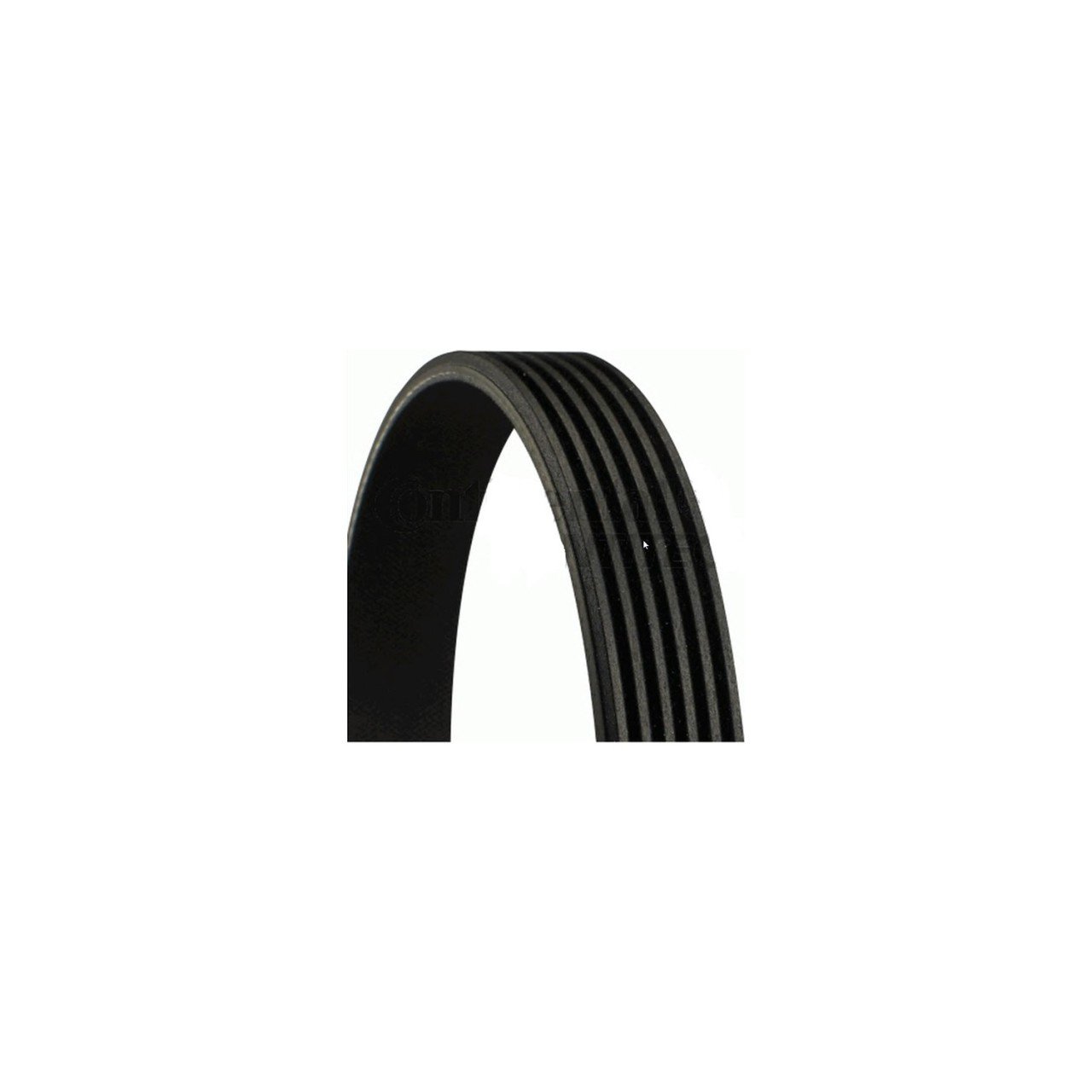 V Kayısı Crafter 06- Dayco 076145933