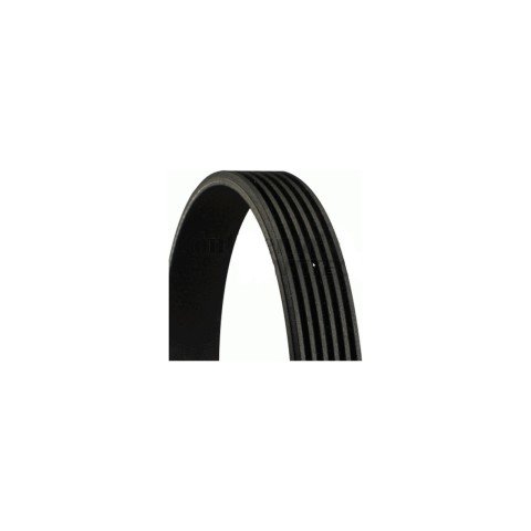 V Kayısı Crafter 06- Dayco 076145933